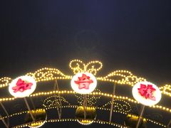 -武汉知音号