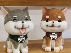 -柴迷FANS CLUB·柴犬狗咖·猫咖
