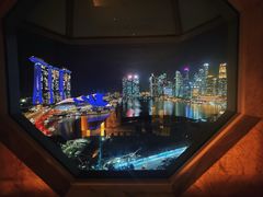-新加坡丽思卡尔顿美年酒店