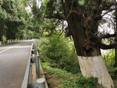 -七曲山风景区