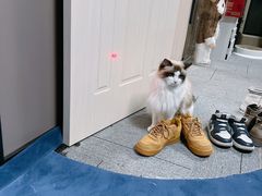 -零纪元VR体验馆·桌游(黄浦店)