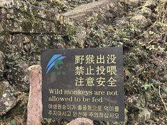 -黄山翡翠谷景区