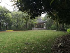 -汇龙潭