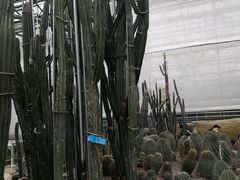 -南山植物园