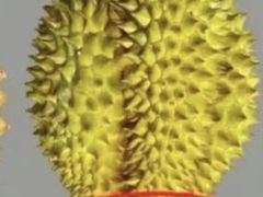 -百果园PAGODA(玄武成贤街店)