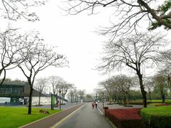 -顺峰山公园