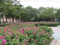 -辽宁大学(崇山校区)