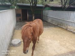 -洪湖家庭农场·团建·露营·会议