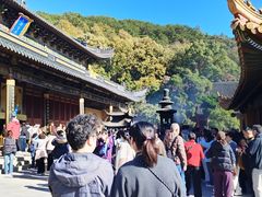 -普陀山风景名胜区-法雨禅寺