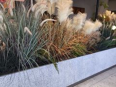 -必胜客(太白路店)