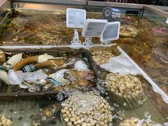 -盒马鲜生(大成店)