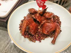 -朱记乳鸽王·非遗石岐乳鸽·全鸽宴(大兴旗舰店)