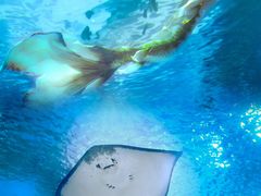 -海合安天津极地海洋公园