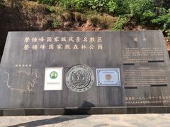 -磬锤峰森林公园