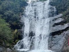 -大奇山国家森林公园