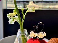 -BLACKSWAN黑天鹅(环球店)