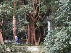-成都杜甫草堂博物馆