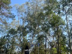 -广州白江湖森林公园