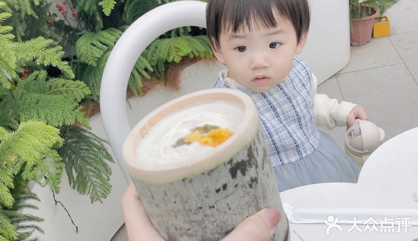 美林有个鱼世界