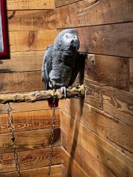 -Zoolung Zoolung动物主题公园(海信广场店)