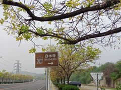 -白水寺森林公园