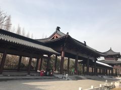 -祥源·阜阳生态乐园