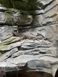 -Zoolung Zoolung动物主题公园(海信广场店)