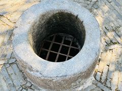 -上海佘山国家森林公园天马山园