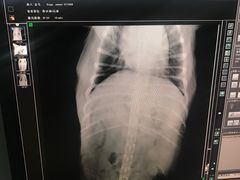 -爱侣宠医·鹦鹉专科·小型哺乳类·异宠专科(灵石路店)