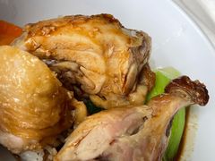 -Tangled Tree Tavern 老藤树食栈