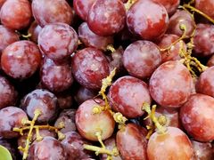 -韩风源烧烤涮自助餐厅(杞县店)