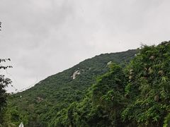 -海南铜鼓岭景区