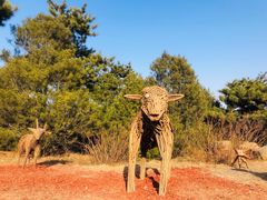 -北京西山国家森林公园