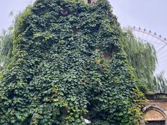 -哈尔滨文化公园