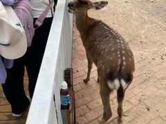 -丽泽山庄·生态怀柔菜·虹鳟鱼(红螺寺店)