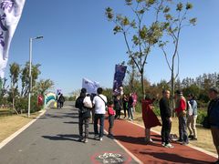 -上海长兴岛郊野公园