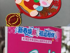 -大湾区中央湿地公园