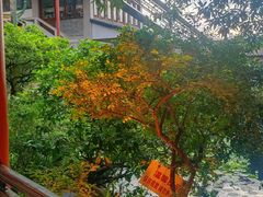 -东江渔村·古典园林·30年粤菜老字号(太和店)
