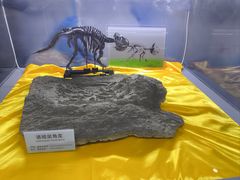 -诸城市恐龙博物馆