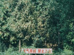 -北京十三陵国家森林公园蟒山景区