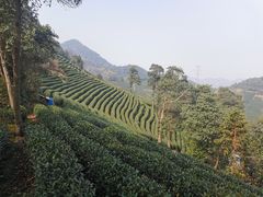 -午潮山国家森林公园