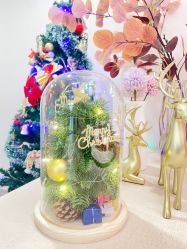 -敦南真爱月子会所(黄埔店)