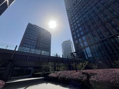 -陆家嘴世纪金融广场