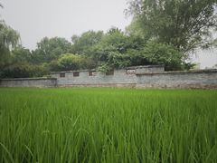-北坞公园