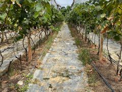 -麦园农庄·西江河鲜