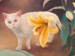 -金泽21世纪美术馆