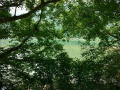 -广州市石门国家森林公园