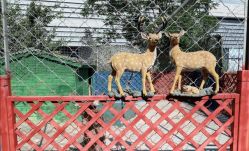 -萌宠亲子动物乐园(槐房万达店)