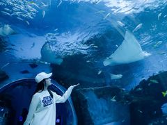 -海合安成都极地海洋公园
