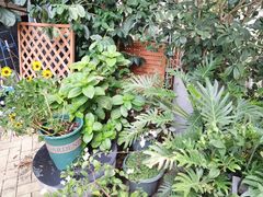 -聚·咖啡(南国奥园店)